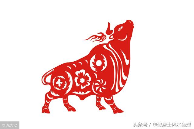 022年属牛是什么命缺什么，85年属牛36岁有一灾"