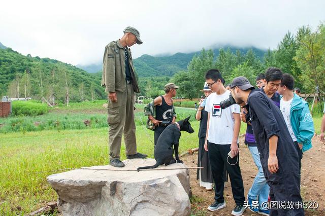 牛跟马属相合不合亲人，马和牛在一起有财运吗