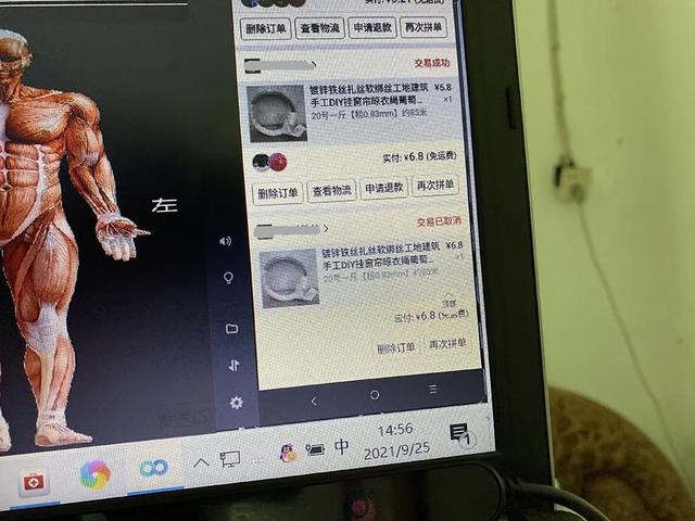 鸡和牛为什么老是吵架，鸡和牛的友情