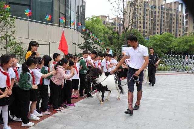 私人养马需要什么手续，急 *** 个人马匹出售