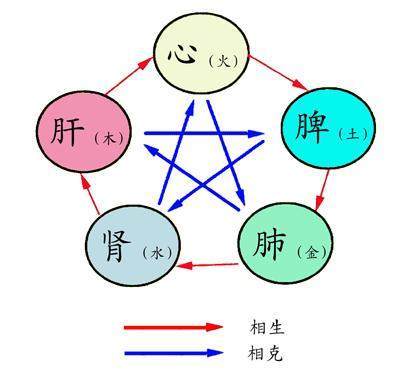 1年属猪有牢狱之灾吗，71年属猪的2022