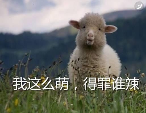 属羊的应该配什么最合适，87年属兔33岁有一劫