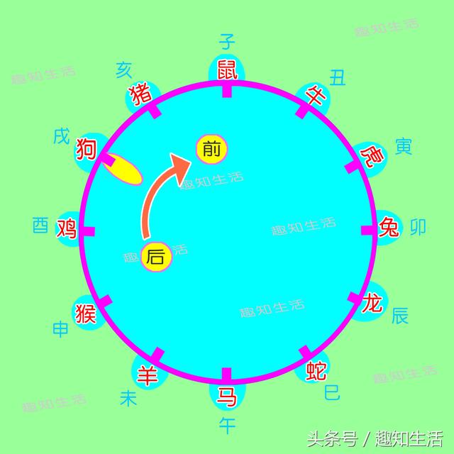 2生肖岁数表，12生肖今年岁数"