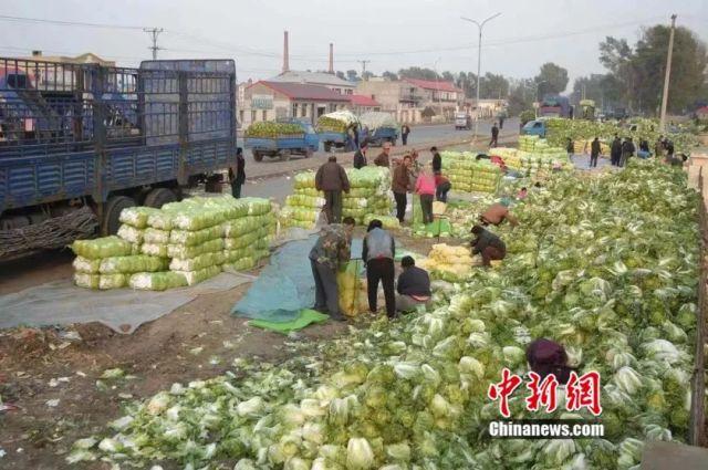 属蛇是八几年出生，属蛇的人性格和脾气