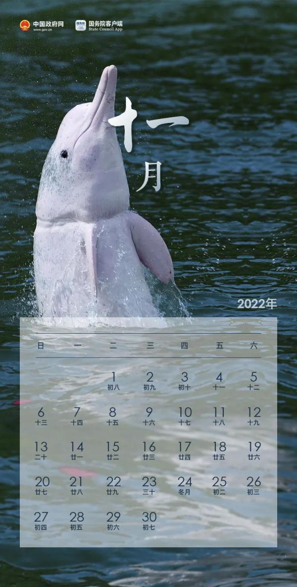022年日历表，2022年日历打印版"