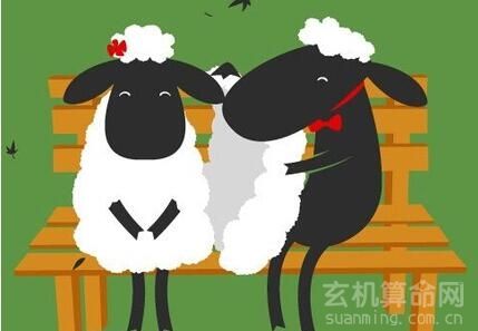 属羊男和属马女婚姻相配吗，1990年女马跟1991男羊