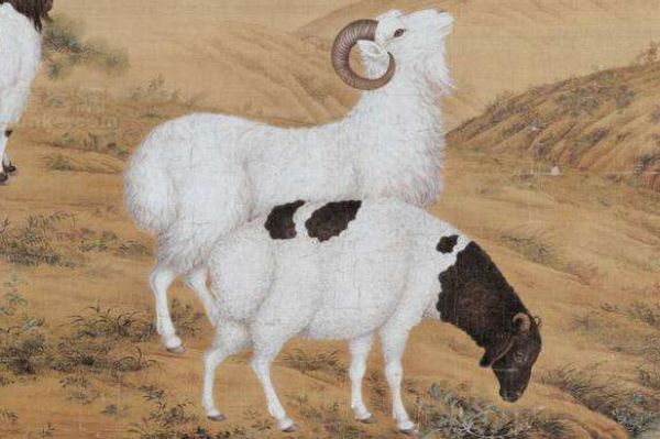 属羊的几时出生命更好，2003年属羊人一生命运