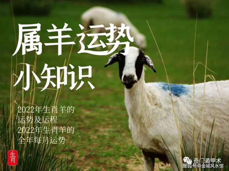 属羊人2022年每月运势，2022年柱羊刃的全年运势