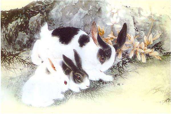 987年属兔人一生的命运，1987年属兔人几月出生更好"
