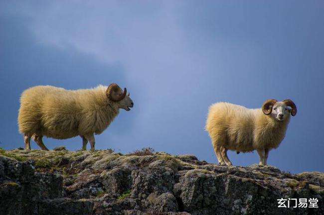 属羊人哪个月出生更好，属羊人几月出生命最差
