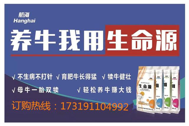 955年的羊今年多大岁数，1955年属羊几月出生好"