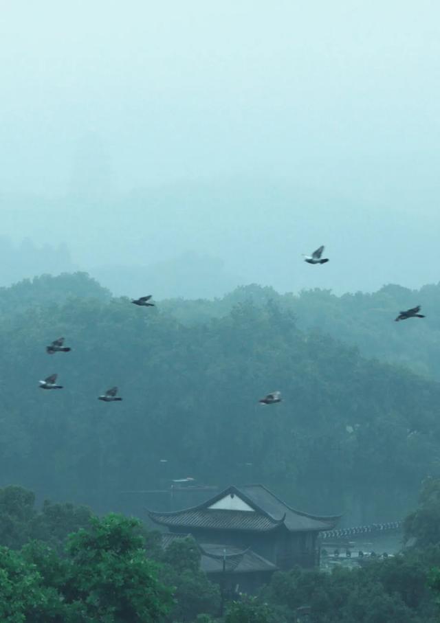 二月十四出生的人命运，2月14出生的人什么命