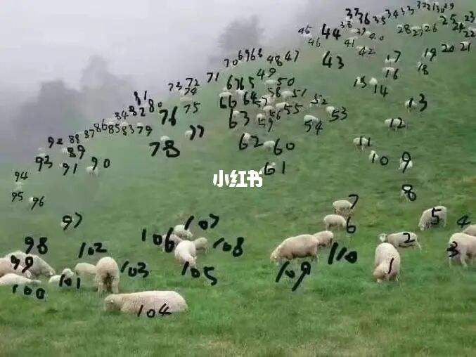 991年属羊吗，1994年属什么生肖"