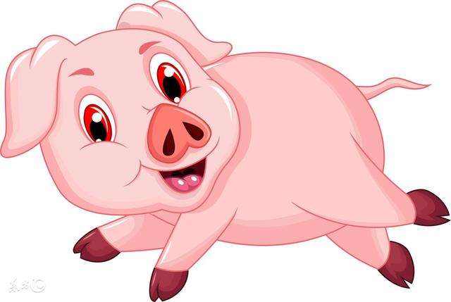 5年6月份的猪是什么命，95年属猪2022