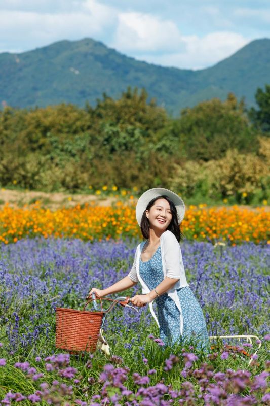 仙女ins森系网名 神秘有个性的女生网名