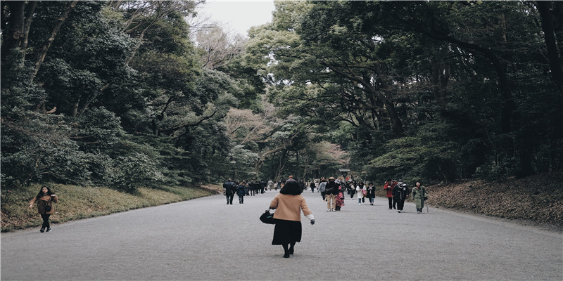 生肖龙不同年月日时的不同命运