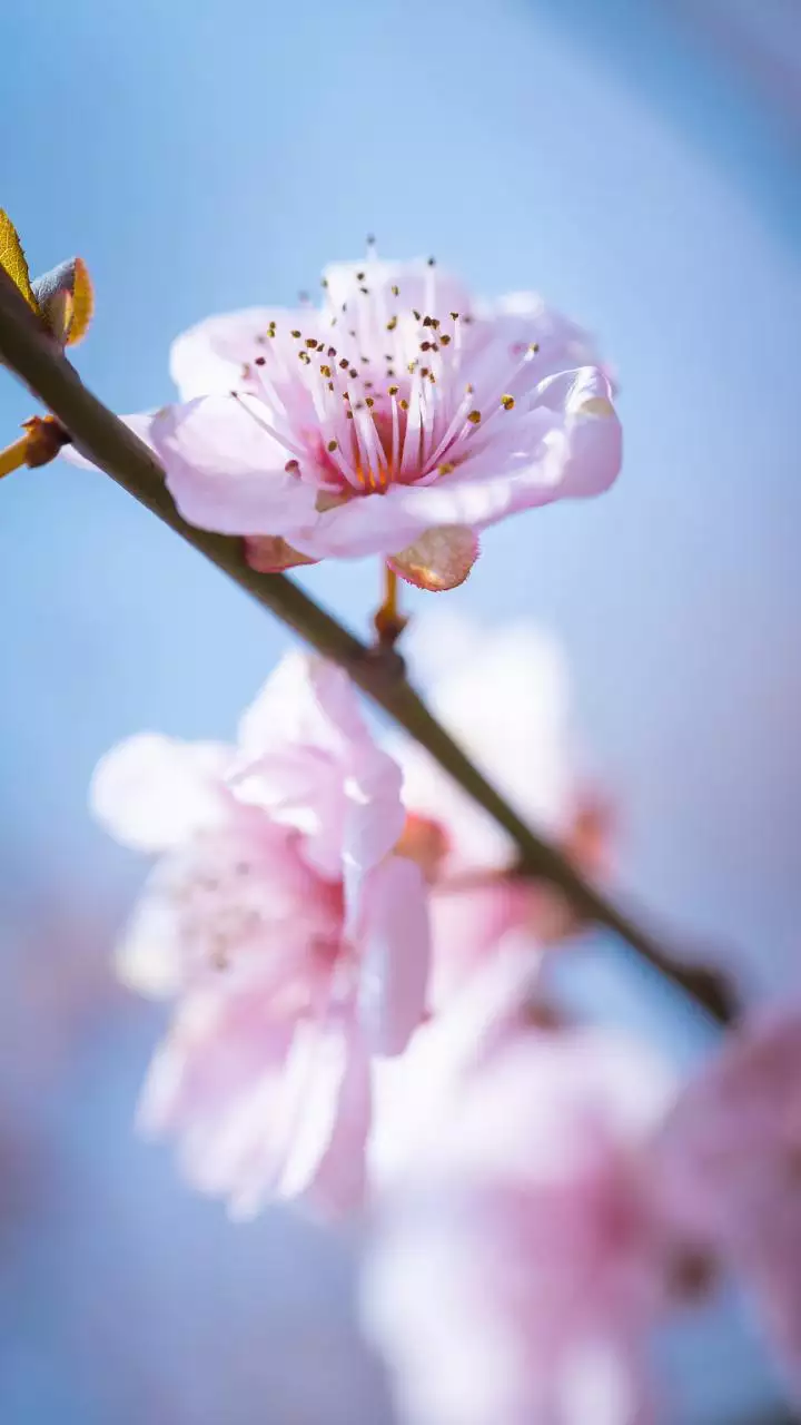 算命不求人免费阴历生辰八字算命 生辰八字看命运详情