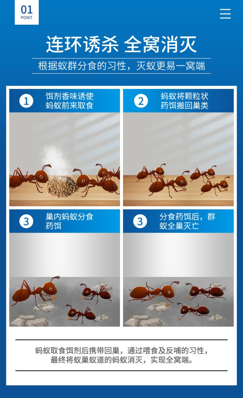 1、灭蚂蚁最有效的方法