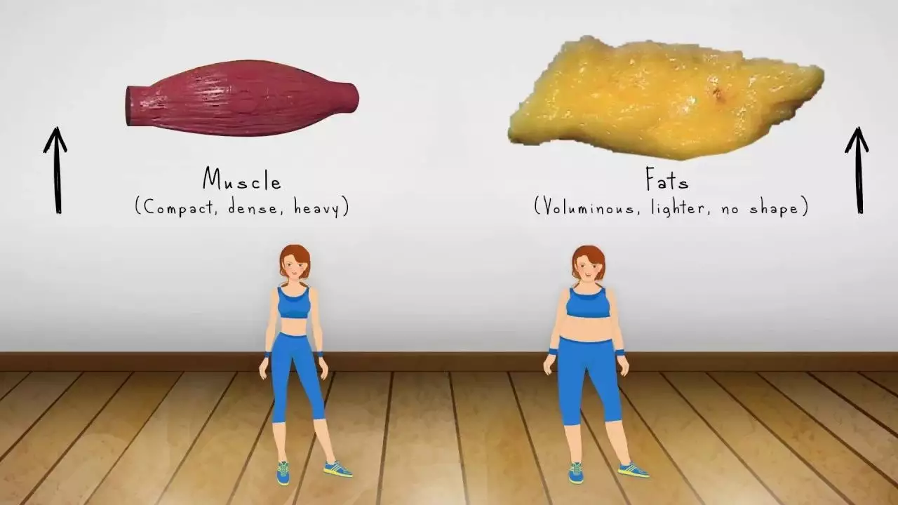 3、哪些运动消耗脂肪最多？