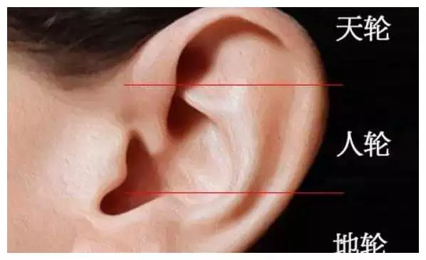 3、耳朵的长相真的与命运有关吗