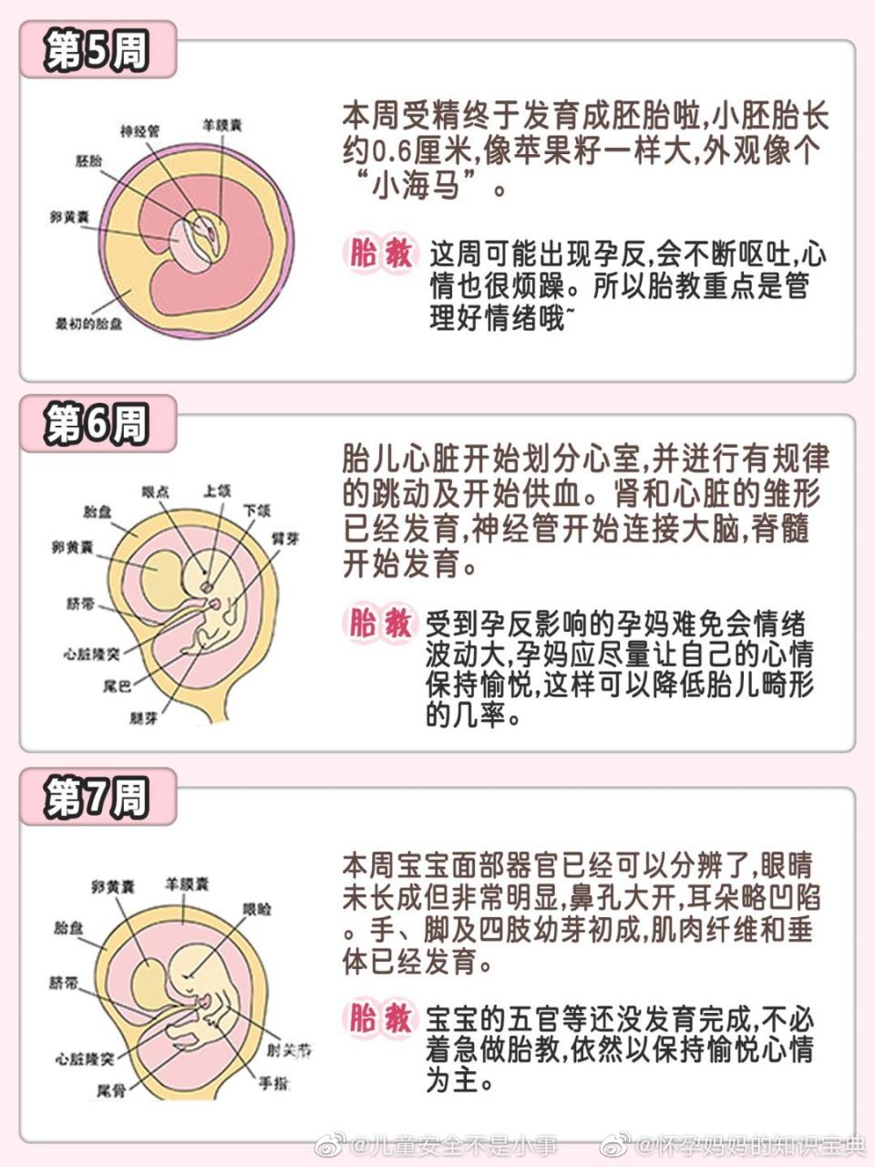 1、孕周胎心胎芽标准