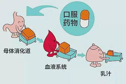 3、喂奶期间怎样才能发现自己怀孕了