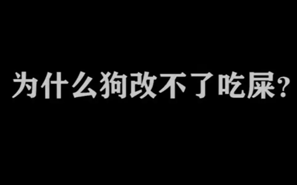 4、狗改不了的下一句是什么??