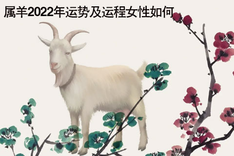 2、属羊人今年七月份的财运