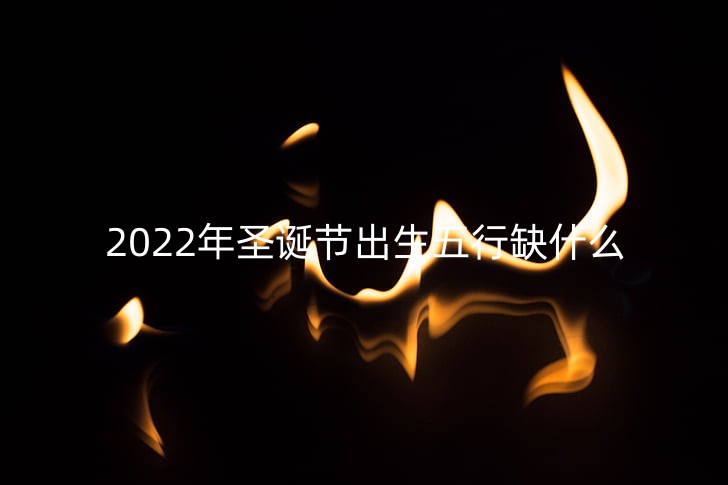 flame-fire-close-burn-preview_副本.jpg