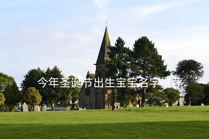 churchyard-scene-graveyard-old-preview_副本.jpg