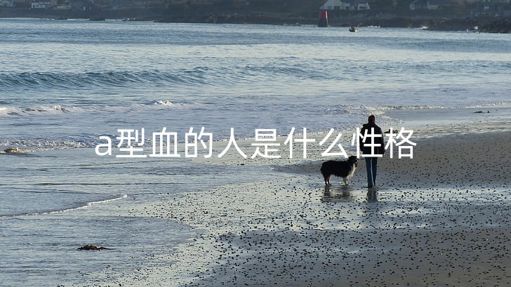 man-and-dog-man-on-the-beach-dog-on-beach-preview_副本.jpg