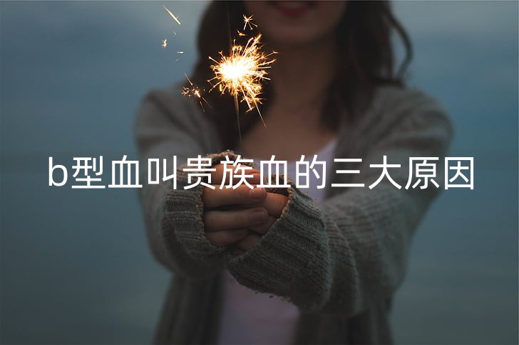 sparkler-holding-hands-firework-preview_副本.jpg