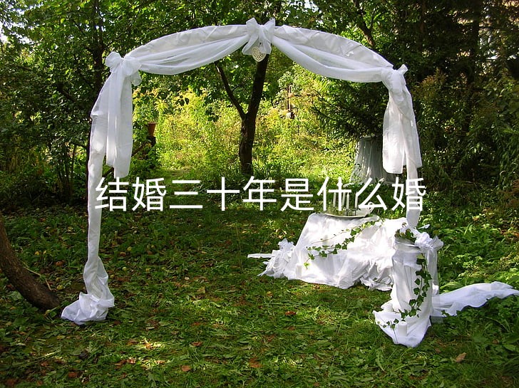 wedding-decoration-garden-bride-preview_副本.jpg