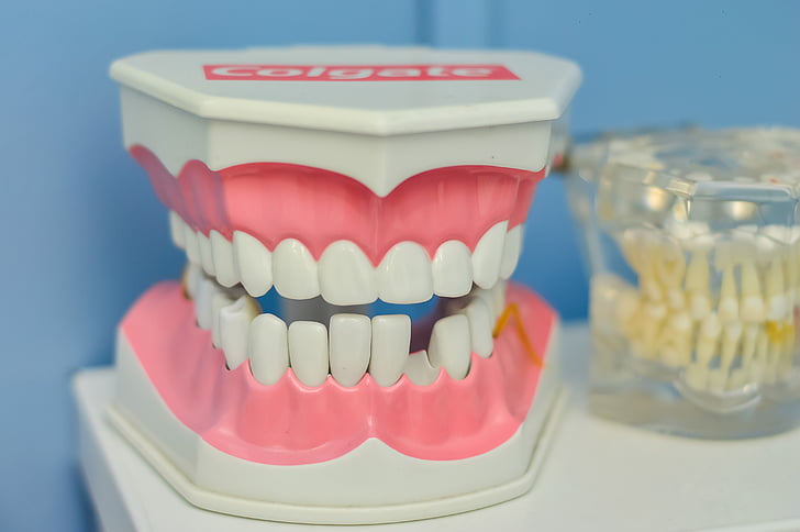 mouth-tooth-macromodelo-dentist-preview.jpg