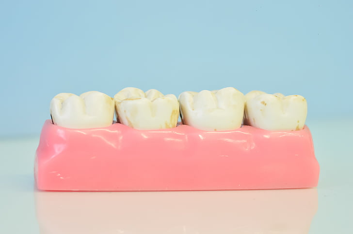 macromodelo-of-teeth-dental-office-teeth-preview.jpg