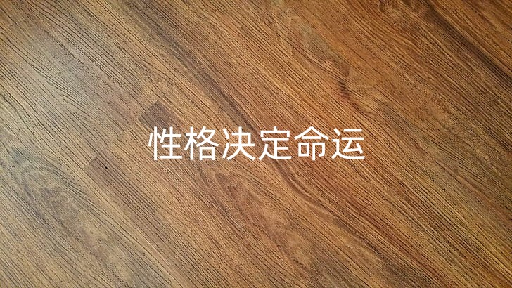 brown-floor-parquet-pattern-preview_副本.jpg