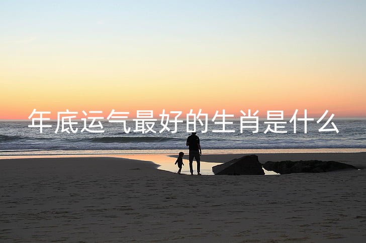 sunset-father-beach-family-preview_副本.jpg