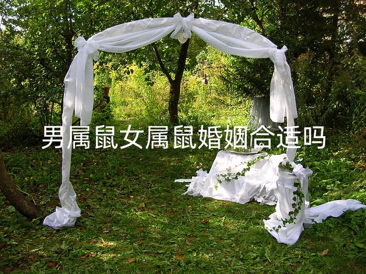 wedding-decoration-garden-bride-preview_副本.jpg