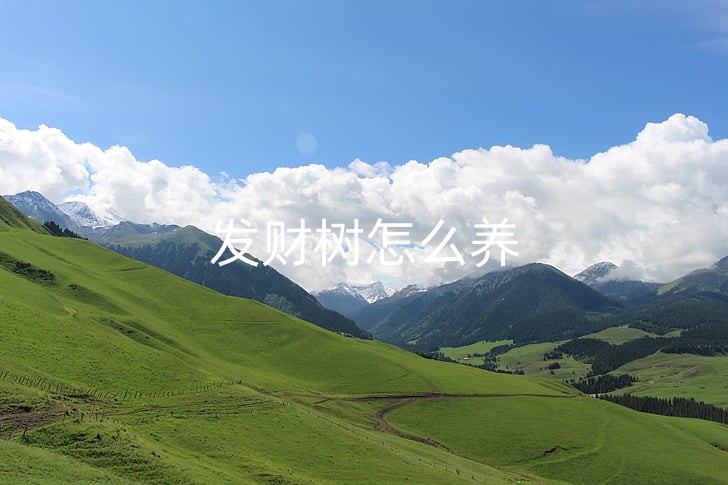 prairie-the-scenery-in-xinjiang-preview_副本.jpg