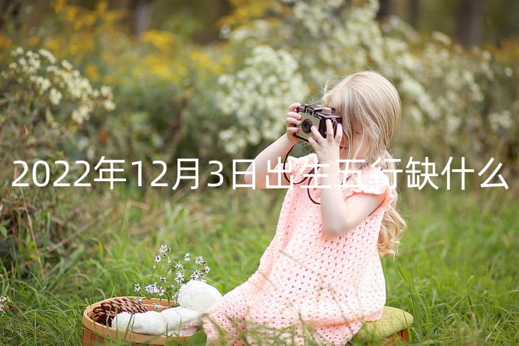 basket-camera-child-dainty-preview_副本.jpg