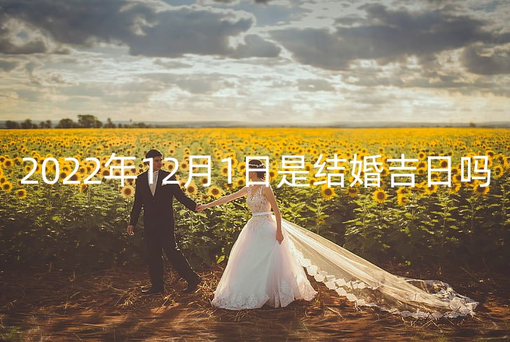 bride-couple-field-groom-preview_副本.jpg