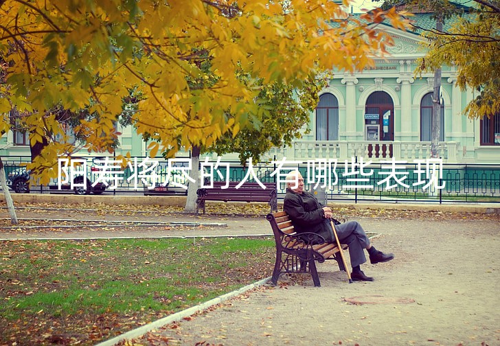 pensioner-the-old-man-autumn-bench-preview_副本.jpg