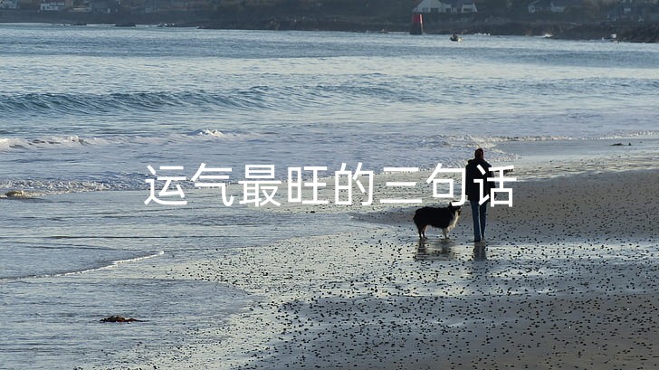 man-and-dog-man-on-the-beach-dog-on-beach-preview_副本.jpg