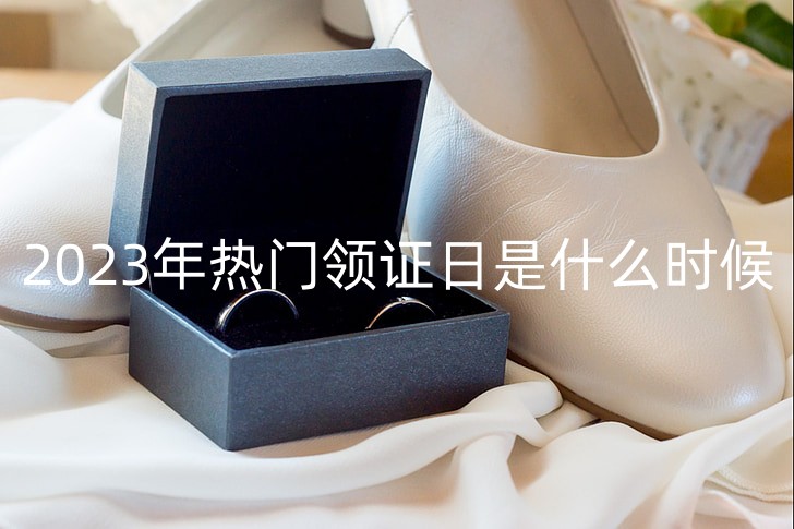 wedding-wedding-rings-upper-preview_副本.jpg