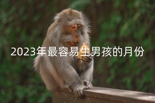 猴2_副本.jpg