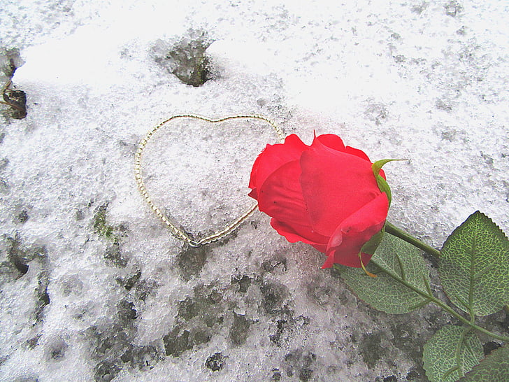 rose-the-heart-of-snow-romance-preview.jpg
