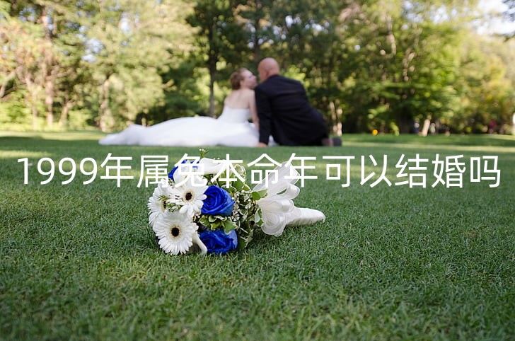 wedding-nature-petals-flowers-preview_副本.jpg