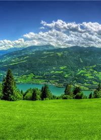 美丽的绿色草原风景图片欣赏