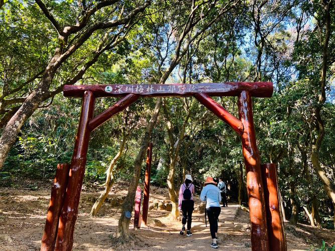 大脑壳山公园在哪里(龙华大脑壳山公园)