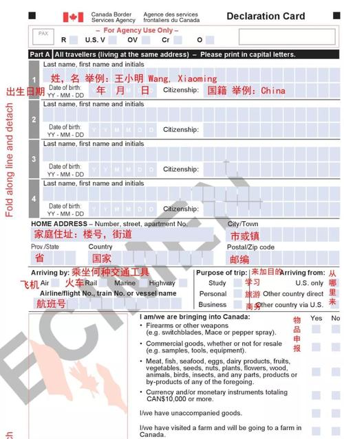 办理加拿大旅游表怎么填